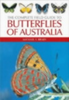 Braby : The Complete Field Guide to Butterflies of Australia :