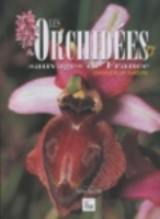 Souche: Les Orchidées sauvage de France