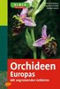 Baumann, Künkele, Lorenz: Orchideen Europas  mit angrenzenden Gebieten