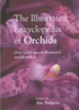 Pridgeon : The Illustrated Encyclopedia of Orchids : Over 1.100 Species Illustrated and Identified
