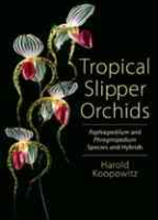 Koopowitz: Tropical Slipper Orchids - Paphiopedilum and Phragmipedium Species and Hybrids