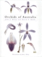 Riley : Orchids of Australia :