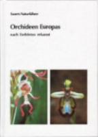 Sauer: Orchideen Europas nach Farbfotos erkannt