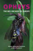 Ærenlund Pedersen, Faurholdt : Ophrys - The Bee Orchids of Europe :