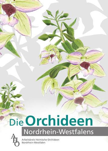 AK Heimischer Orchideen NRW: Die Orchideen Nordrhein-Westfalens
