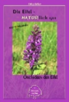 Keikut Orchideen der Eifel