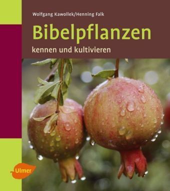 Kawollek, Falk: Bibelpflanzen - kennen und kultivieren