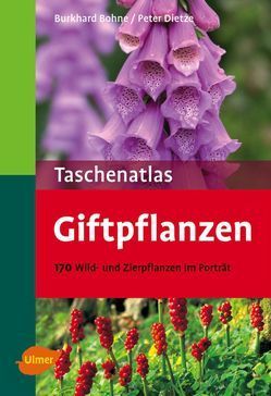 Bohne, Dietze: Taschenatlas Giftpflanzen - 170 Wild- und Zierpflanzen im Porträt