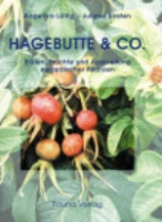 Lütting, Kasten : Hagebutte & Co. : Blüten, Früchte und Ausbreitung europäischer Pflanzen