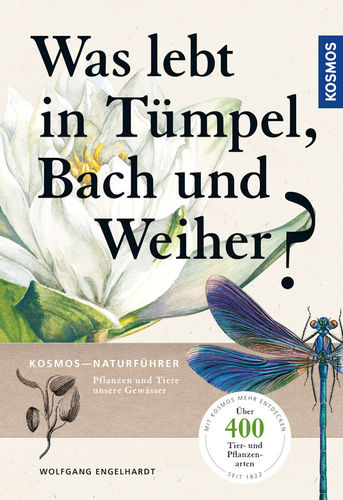 Engelhardt: Was lebt in Tümpel, Bach und Weiher? - Pflanzen und Tiere unserer Gewässer