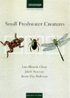 Olsen, Sunesen, Pedersen : Small Freshwater Creatures :