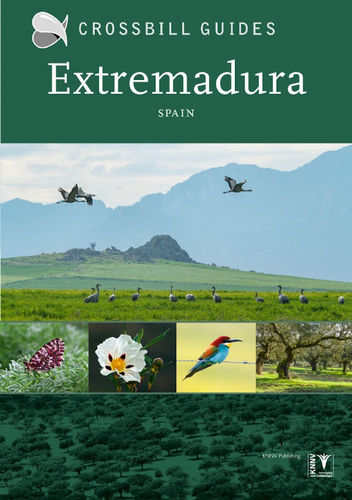 Hilbers: Extremadura -  Spain (Crossbill Guide)