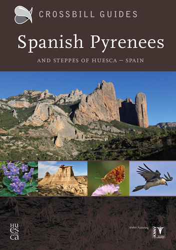 Hilbers: Spanish Pyrenees and Steppes of Huesca