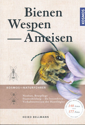 Bellmann, Helb: Bienen, Wespen, Ameisen - Hautflügler Mitteleuropas