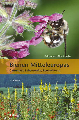 Amiet, Krebs: Bienen Mitteleuropas - Gattungen, Lebensweise, Beobachtungen