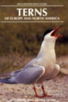 Malling Olsen, Larsson: Terns of Europe and North America