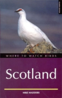 Madders, Welstead: Where to Watch Birds in Scotland