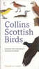 Thom : Scottish Birds :
