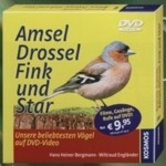 Bergmann, Engländer: Amsel, Drossel, Fink und Star - Unsere beliebtesten Vögel auf DVD-Video