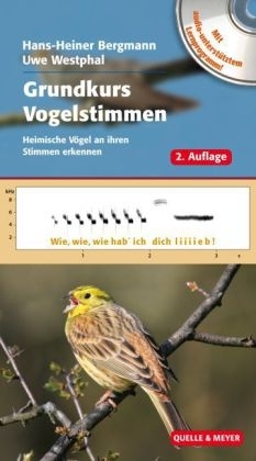 Bergmann: Grundkurs Vogelstimmen - Heimische Vögel an ihren Stimmen erkennen