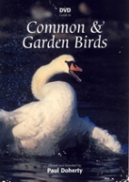 Doherty : Common and Garden Birds : A Guide to the 90 commonest British Birds