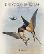 Roux : Die Vögel Europas von John Gould :