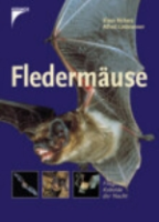 Richarz, Limbrunner: Fledermäuse  beobachten, erkennen und schützen