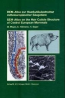Meyer, Hülmann, Seger : REM-Atlas zur Haarkutikulastruktur mitteleuropäischer Säugetiere : SEM-Atlas on Hair Cuticule Structure of Central European Mammals