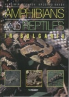 Beshkov, Nanev : Amphibians and Reptiles in Bulgaria :