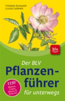 Schauer, Caspari : Der BLV Pflanzenführer für unterwegs : 1150 Blumen, Gräser, Bäume und Sträucher