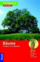 Steinbach (Hrsg.), Kremer : Bäume : Erkennen und Bestimmen