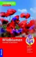 Steinbach (Hrsg.), Kremer : Wildblumen : Erkennen und Bestimmen