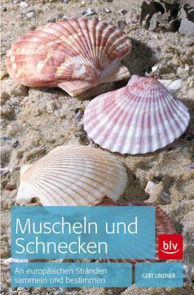 Lindner: Muscheln und Schnecken - An europäischen Stränden sammeln und bestimmen