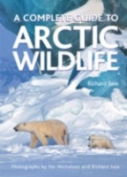 Sale : A Complete Guide to Arctic Wildlife :