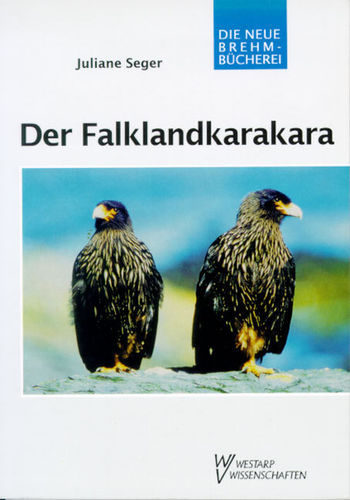 Seger: Der Falklandkarakara - Phalcoboenus australis (Gmelin, 1788)