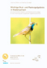 Melter, Schreiber : Wichtige Brut- und Rastvogelgebiete in Niedersachsen : Eine kommentierte Gebiets- und Artenliste als Grundlage für die Umsetzung der Europäischen Vogelschutzrichtlinie