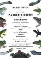 Reider : Fauna Boica oder gemeinnützige Naturgeschichte der Thiere Bayerns : Dritte Abtheilung: Amphibien - reprint der Ausgabe von 1832