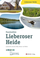 Stiftung Naturlandschaften Brandenburg : Faszination Lieberoser Heide : Landschaft zwischen Wald, Wasser und Weite