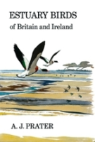 Prater : Estuary Birds of Britain and Ireland :