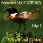 Werle, Schulze : Erlebniswelt der Vogelstimmen : Volume 2 - Vögel der Wiesen und Felder