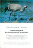 Meier-Peithmann, Plinz : Aus der Vogelwelt des Hannoverschen Wendlandes