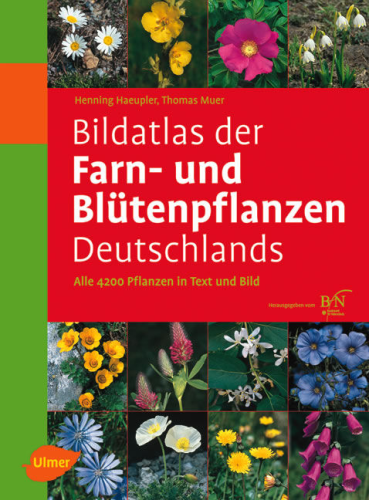 Haeupler, Muer: Bildatlas der Farn- und Blütenpflanzen Deutschlands