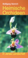 Heinrich : Heimische Orchideen in Jenas Landschaft
