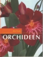 Pinske : Orchideen :