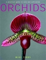 Tipps : Orchids :