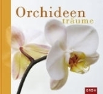 Pawlitzki, Theil : Orchideenträume :
