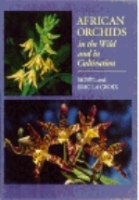 Croix, Croix : African Orchids in the Wild and in Cultivation :