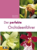 Rittershausen, Rittershausen : Der perfekte Orchideenführer : Edition XXL
