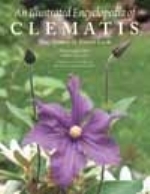 Toomey : Illustrated Encyclopedia of Clematis :