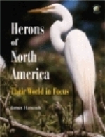 Hancock : Herons of North America :